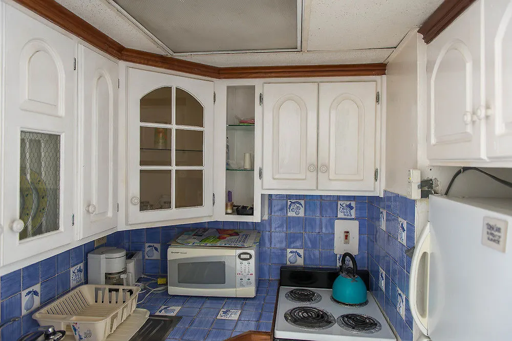 Blue Lagoon Beach Studio Apartment Montego Bay Jamaica